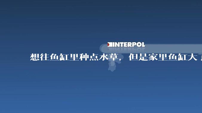想往鱼缸里种点水草，但是家里鱼缸大了买水草泥或者底砂太贵了，有没有生活中可以替代的物品或其他建议？
