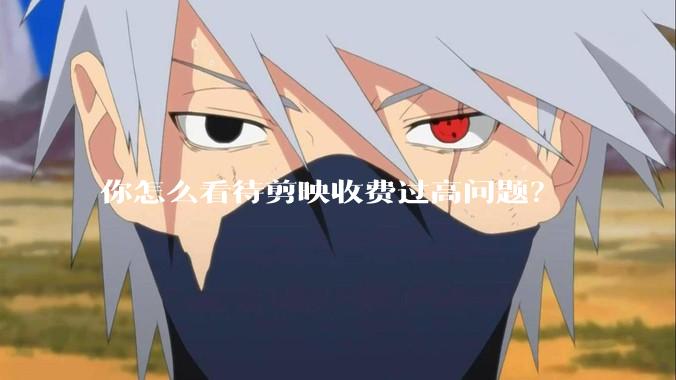 你怎么看待剪映收费过高问题？