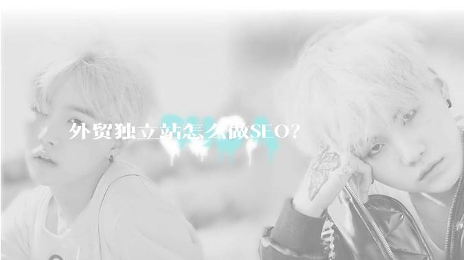 外贸独立站怎么做SEO？