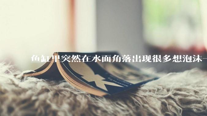 鱼缸里突然在水面角落出现很多想泡沫一样的气泡是怎么回事？