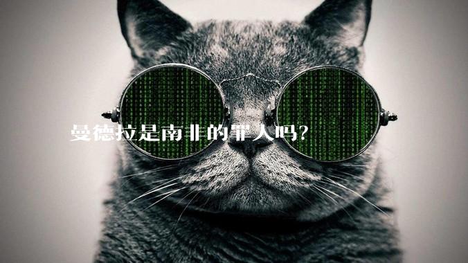 曼德拉是南非的罪人吗？