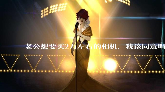 老公想要买2万左右的相机，我该同意吗？