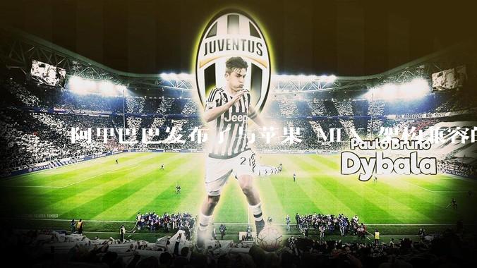 阿里巴巴发布了与苹果 MLX 架构兼容的 Qwen3 升级版，新版本都有哪些新特性？