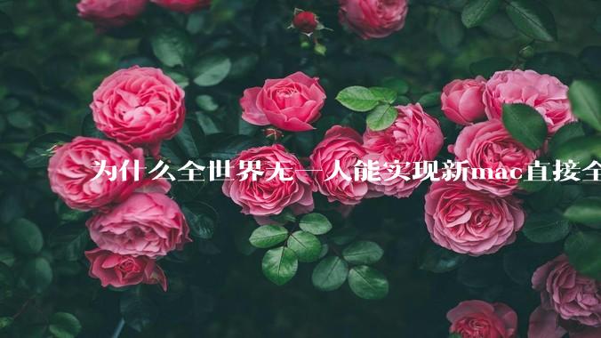 为什么全世界无一人能实现新mac直接全功能稳定装Win 11 arm，或PC直接装macOS arm？